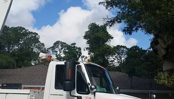 Tree Removal for Daniel Hickey’s Tree Service in DeLand, FL