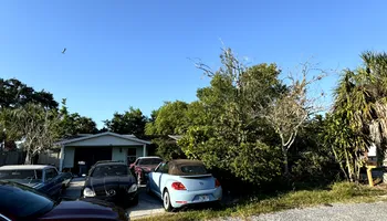 Tree Removal for Elevation Tree Service in Holiday, FL
