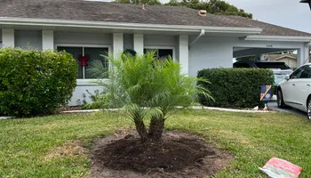 Tree Removal for TREE BOYS in Ruskin, FL