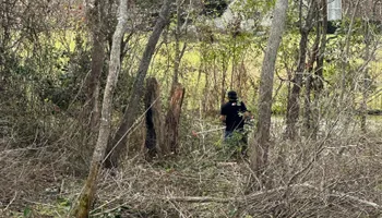 Land Clearing for Dirty South Land Management  in Robertsdale, AL