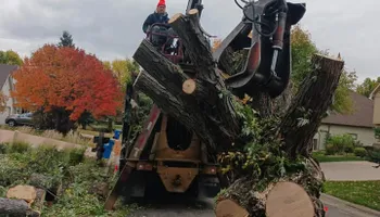 Tree Care for Buffalo Family Tree Care in Buffalo, MN