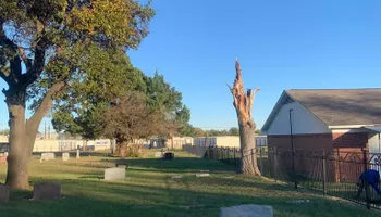 Tree Removal & Trimming for Teague Trees and Land Clearing in Rendon, TX