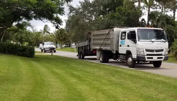 Tree Trimming & Removal for L & J Palm Tree & Lawn Care Services in Jupiter, FL
