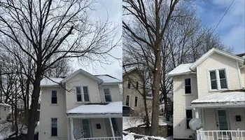 Tree Removal for Licensed to Cut Tree Service in Athens, PA