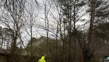 Tree Removal for J&M Stump Grinders LLC in Douglasville, GA