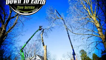 Tree Removal for Down To Earth Tree Service in Red Wing,  Minnesota