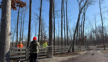 Tree Removal for Ross Family Tree Service LLC  in Hohenwald, TN