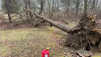 Landscape Design for Foxlan Landscapes in Fairview, TN