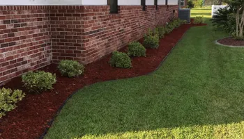 Tree Trimming for Professional Landscape & Irrigation in Pensacola, FL