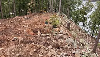Land Clearing & Demolition for Double J Excavation in Nashville, AR