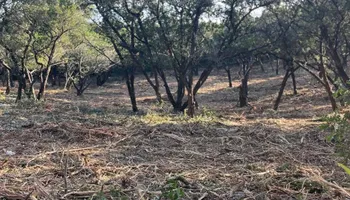Forestry Mulching for Oro Verde in Devine, TX
