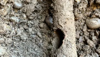 Landscape Installation for Falls Property Services  in Idaho Falls, ID