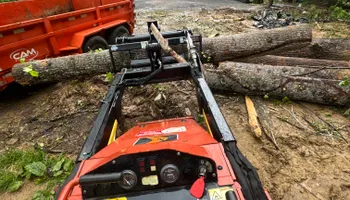 Tree Removal for Precision Cutz Tree Services, LLC in Coeburn, VA