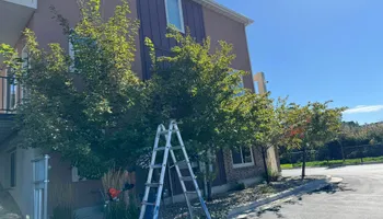 Mowing for L&S Landscaping in Layton, UT