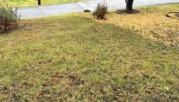 Landscape Installation for Gatrell Landscape & Tree Removal in Bluff City, TN