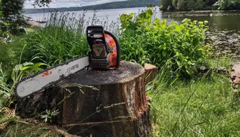 Residential Tree Services for TH Property Service, LLC in Manlius, NY