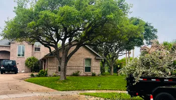Tree Removal for Johnnys Pro Cutters in Corpus Christi, TX