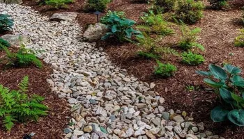 Lawn Clean Up for Healthy Roots Landscaping in Apex, NC