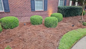 Mowing for 1 Man Does It Lawn Service in Blythewood, SC