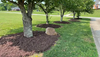 Lawn Maintenance for Palmetto State Landscaping in Gaffney, SC