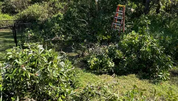 Fall Clean Up for Estrada All Pro Lawn Service in Auburndale, Florida