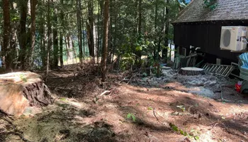 Tree Removal for Abair Tree Service in Weare, NH