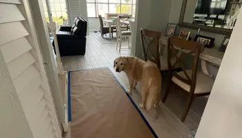 Exterior Painting for FLORIDA PAINTING PLUS in Port Orange, FL