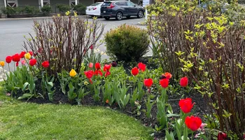 Lawn Maintenance for Green Way Landscape and Building Maintenance in Trenton, NJ