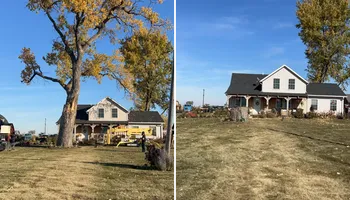 Tree Removal for Fransen's Tree Service  in Freeport, IL