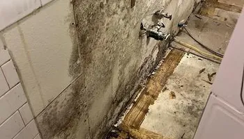 Water Mitigation for No Fear Restoration in Port Angeles, WA