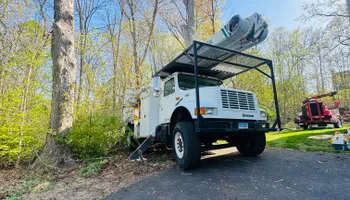 Tree Removal for Hennessey Tree & Landscape LLC in Oxford,  CT 