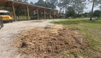 Tree Removal for Regal Tree Service and Stump Grinding in Wauchula, FL
