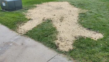 Mowing for Austin's All Season's Services LLC in Watertown, WI