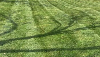 Fertilization Treatments for Chief Lawn Care in Lee's Summit, MO