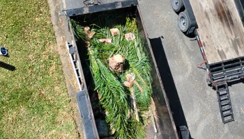 Tree Removal for Highlands Tree Service LLC in Avon Park, FL