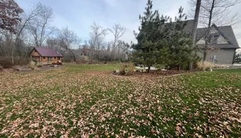 Tree Removal for K and Z Tree Care in Andover, MN