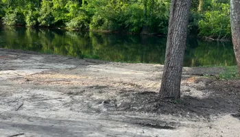 Land Clearing for Clarke Excavation Co. in Covington, VA
