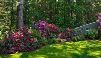 Mowing for Dibs Landscaping LLC in Cheshire, CT