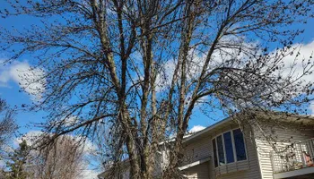 Tree Removal for Big River lawn Care services and snow LLC in Wausau, WI