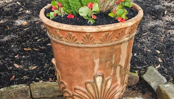 Mowing for Bruno's Professional Lawn's & Landscape in Beaumont, TX