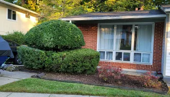 Landscaping for Antonio & Sons Contractors LLC in Silver Springs, MD
