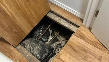 Drain Cleaning for Absolute Plumbing and Drains LLC in Beaverton, OR