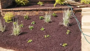 Landscaping Design for Chavez Landscaping in Pittsboro, NC