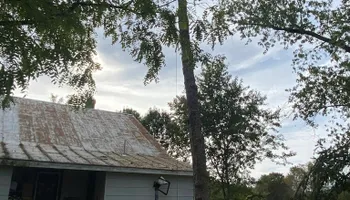 Tree Removal for VA Landgrowth LLC in Lexington, VA