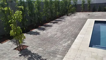 Lawn Maintenance / clean ups for Sharp Image LLC Landscaping & Hardscape in Phoenix, AZ