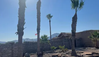 Fall and Spring Clean Up for Oliver L. Palm & Tree services in Yuma, AZ