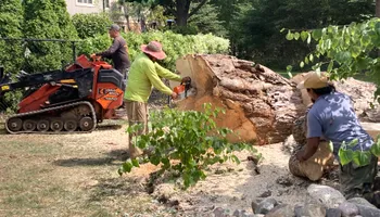 Tree Removal for Village Tree Service  in Whitestown, IN