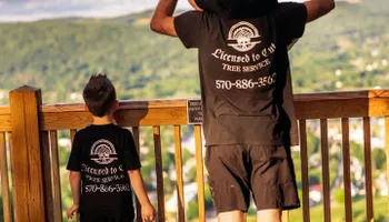 Tree Removal for Licensed to Cut Tree Service in Athens, PA