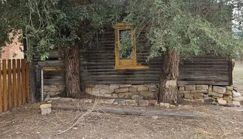 Tree Removal for Langston Tree & Landscape LLC in Canon City, CO