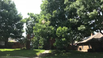 Tree Trimming for Twin Oak Solutions in Carrollton, TX
